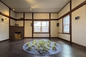 ミクロの森　マクロの記憶