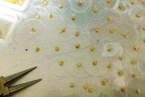 地味な作業は続く