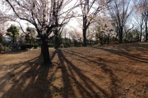 素材を確保するのも容易くはない