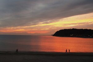 逗子アートサイトに行ってきました