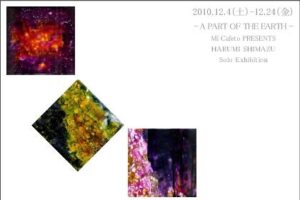 個展　A Part of the Earth Vlo. 1