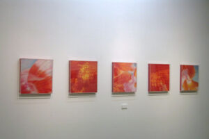 個展 2008/ Gallery KINGYO